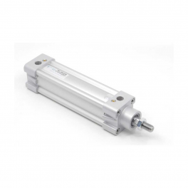 Пневмоцилиндр PNY-100-025 Pemaks